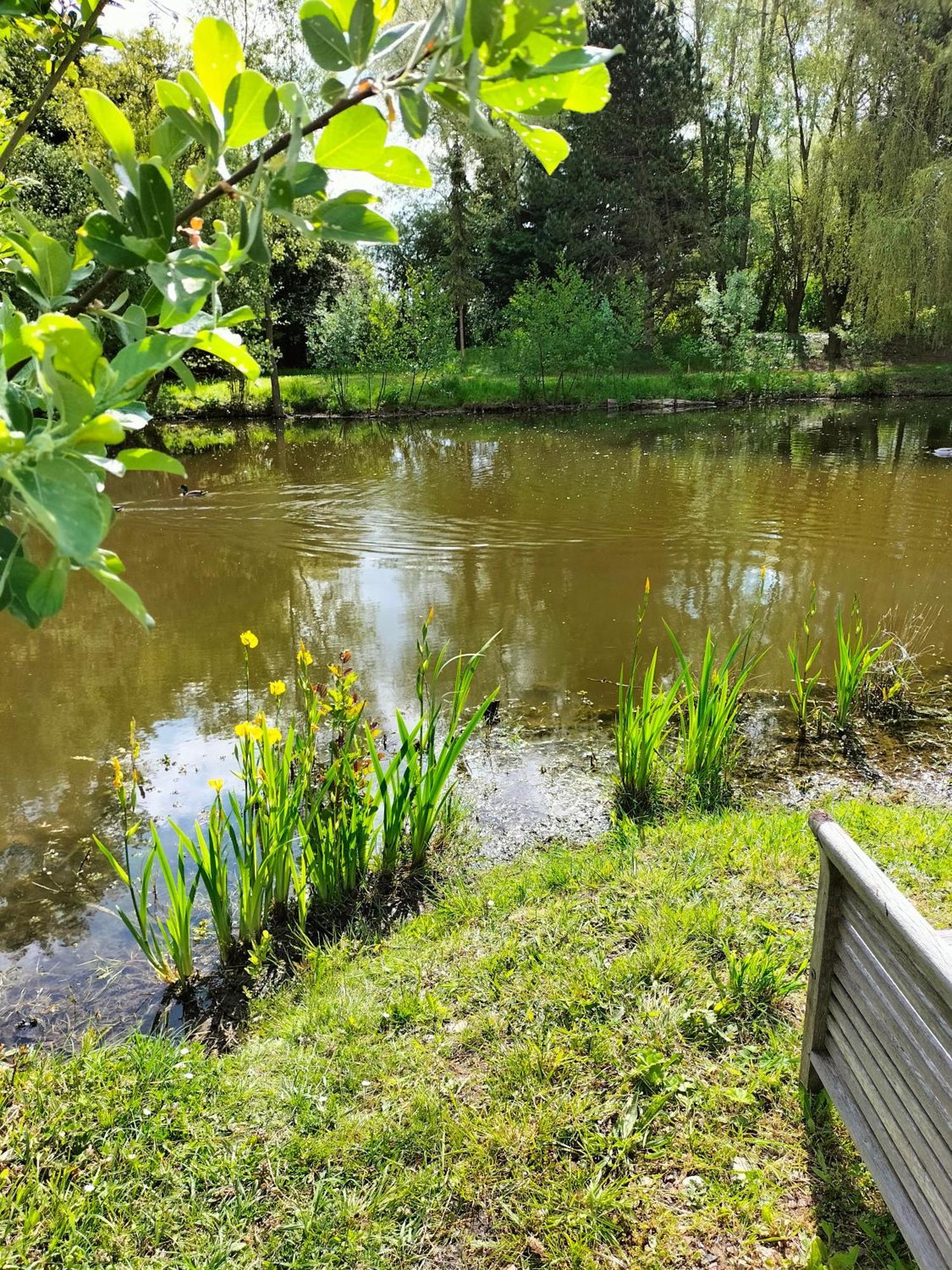 La Mouillere Bed & Breakfast Verton Luaran gambar
